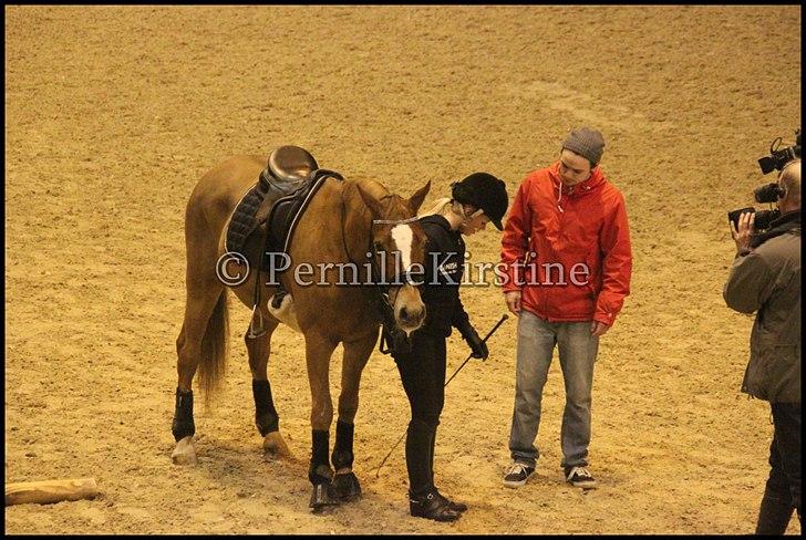 RAMASJANG LIVE PÅ VILHELMSBORG .. billede 146