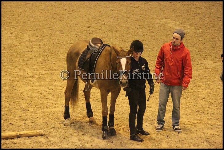 RAMASJANG LIVE PÅ VILHELMSBORG .. billede 147