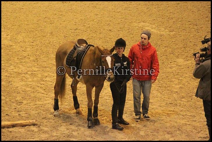 RAMASJANG LIVE PÅ VILHELMSBORG .. billede 148