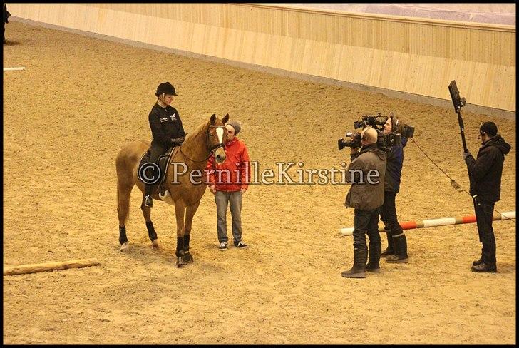 RAMASJANG LIVE PÅ VILHELMSBORG .. billede 149