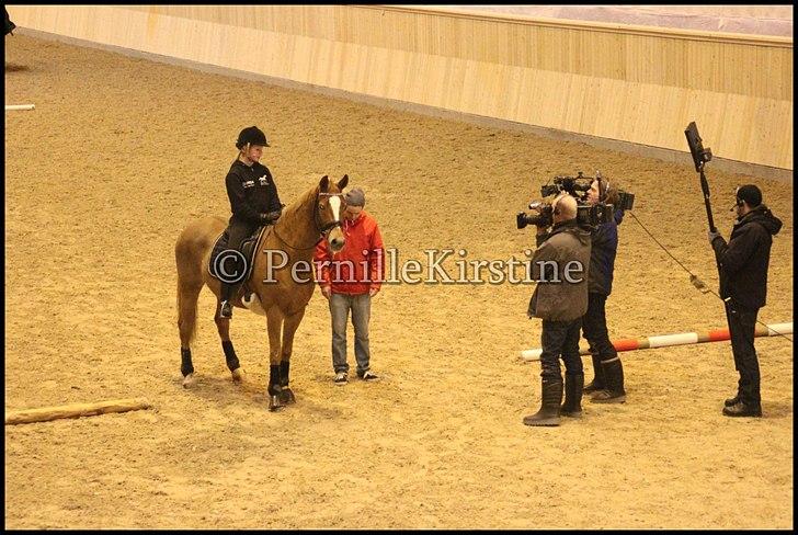 RAMASJANG LIVE PÅ VILHELMSBORG .. billede 150