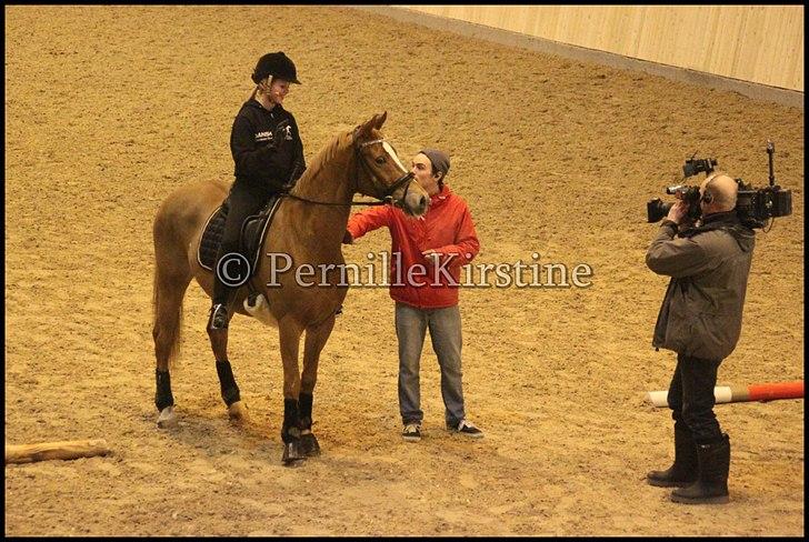 RAMASJANG LIVE PÅ VILHELMSBORG .. billede 151