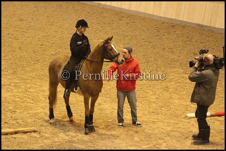 RAMASJANG LIVE PÅ VILHELMSBORG .. billede 152