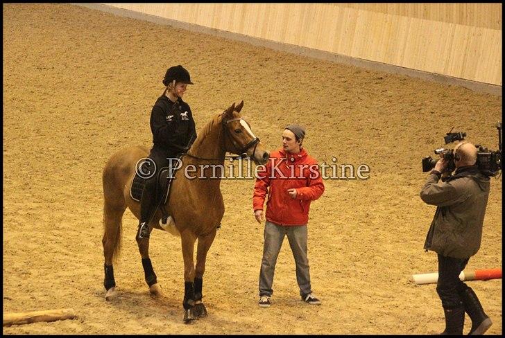 RAMASJANG LIVE PÅ VILHELMSBORG .. billede 153