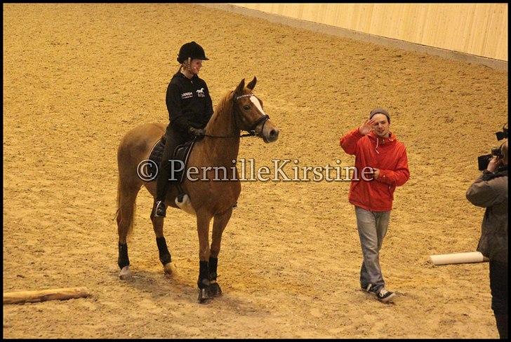 RAMASJANG LIVE PÅ VILHELMSBORG .. billede 154