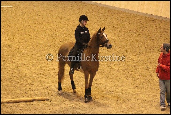 RAMASJANG LIVE PÅ VILHELMSBORG .. billede 155