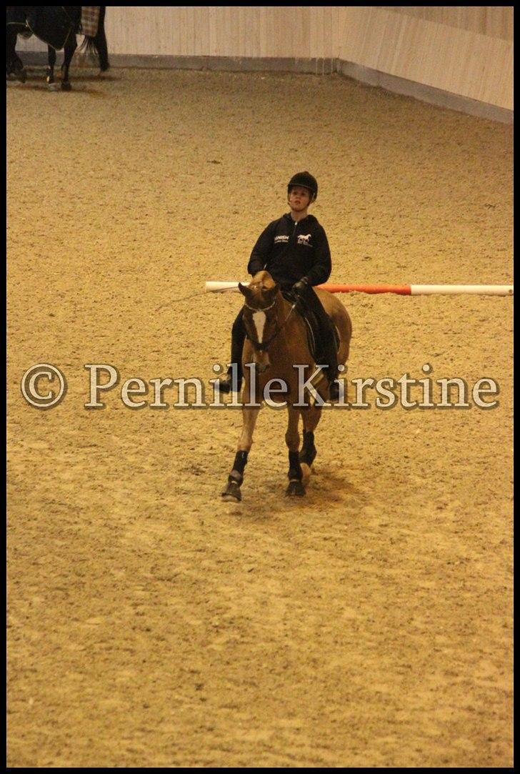 RAMASJANG LIVE PÅ VILHELMSBORG .. billede 156