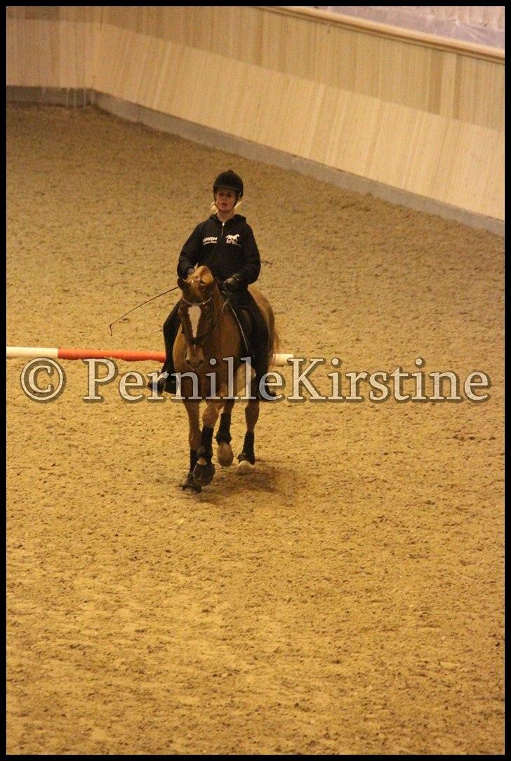 RAMASJANG LIVE PÅ VILHELMSBORG .. billede 157