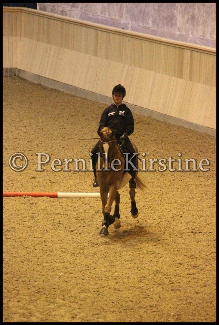 RAMASJANG LIVE PÅ VILHELMSBORG .. billede 158