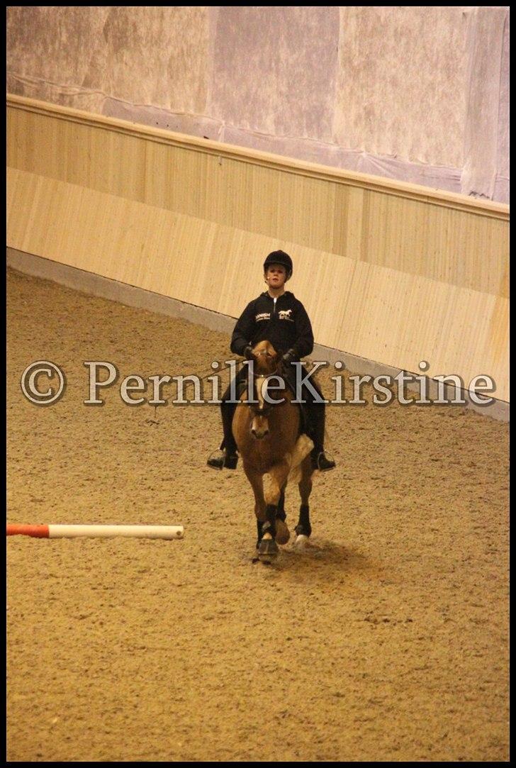 RAMASJANG LIVE PÅ VILHELMSBORG .. billede 159