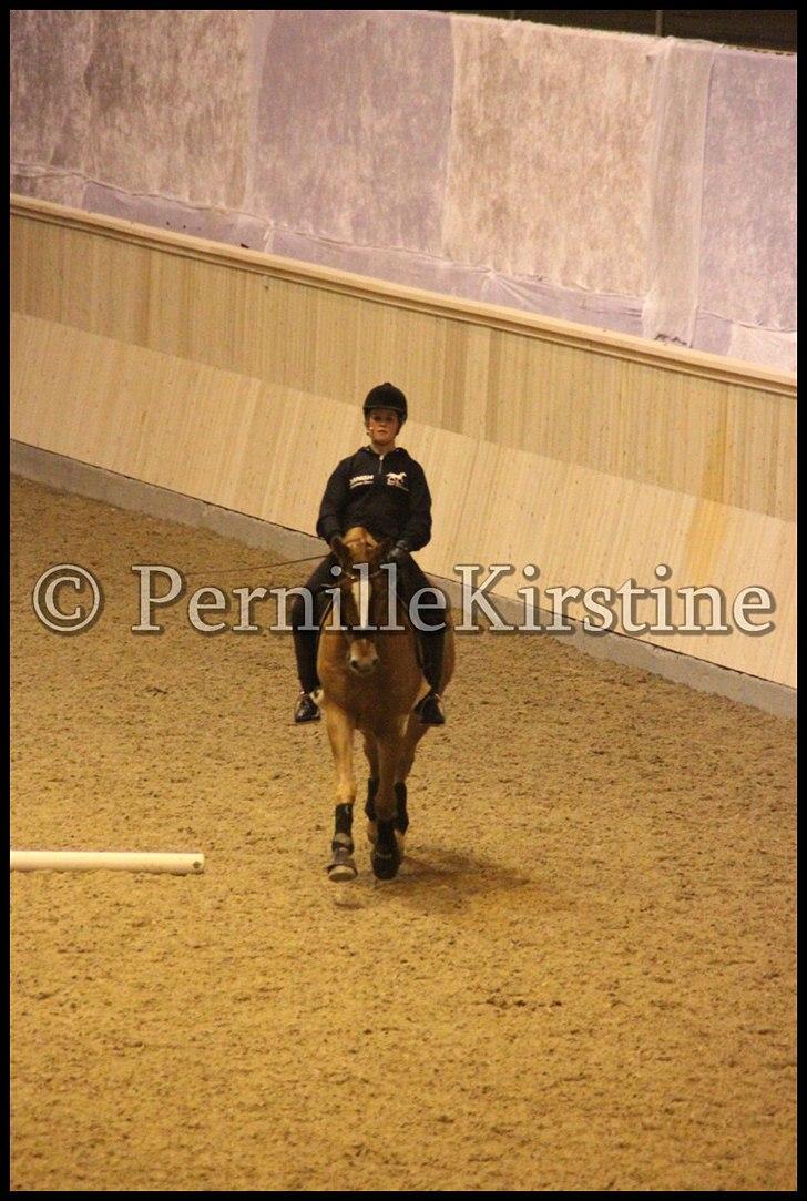 RAMASJANG LIVE PÅ VILHELMSBORG .. billede 160