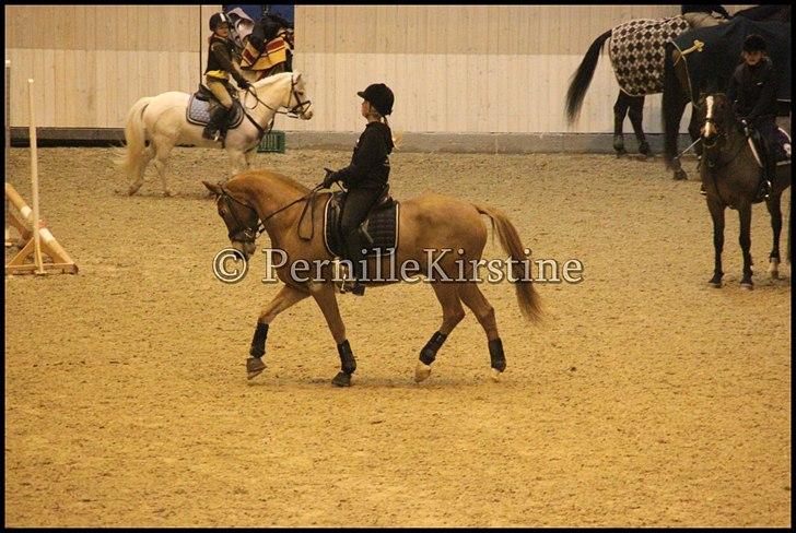 RAMASJANG LIVE PÅ VILHELMSBORG .. billede 161