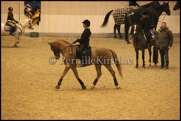 RAMASJANG LIVE PÅ VILHELMSBORG .. billede 162