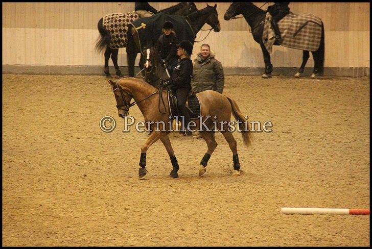 RAMASJANG LIVE PÅ VILHELMSBORG .. billede 163