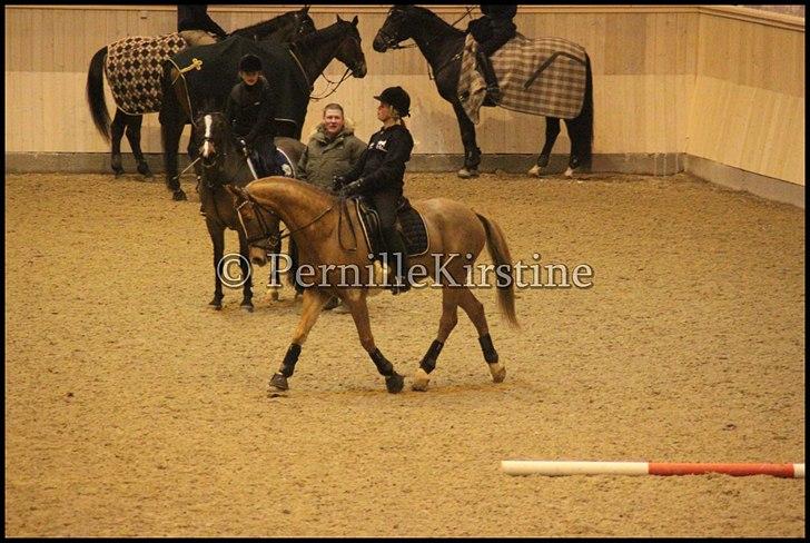 RAMASJANG LIVE PÅ VILHELMSBORG .. billede 164