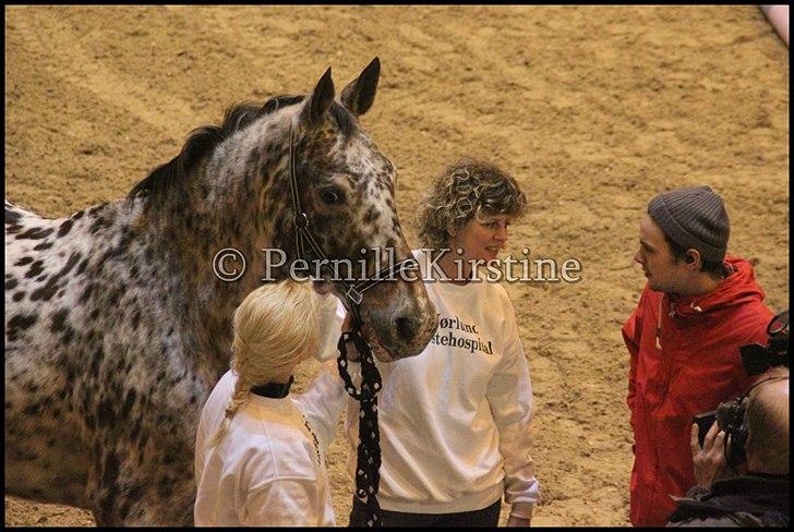 RAMASJANG LIVE PÅ VILHELMSBORG .. billede 165