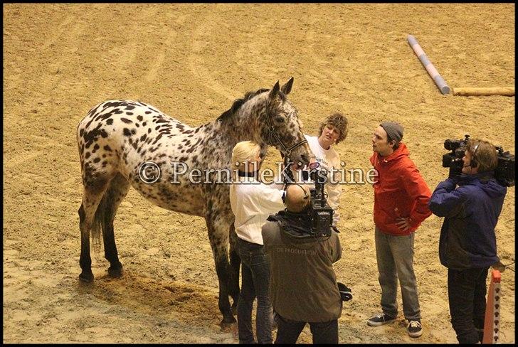 RAMASJANG LIVE PÅ VILHELMSBORG .. billede 166