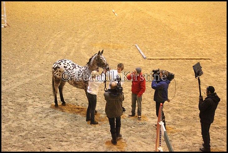 RAMASJANG LIVE PÅ VILHELMSBORG .. billede 170