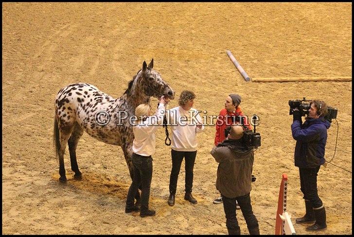 RAMASJANG LIVE PÅ VILHELMSBORG .. billede 171