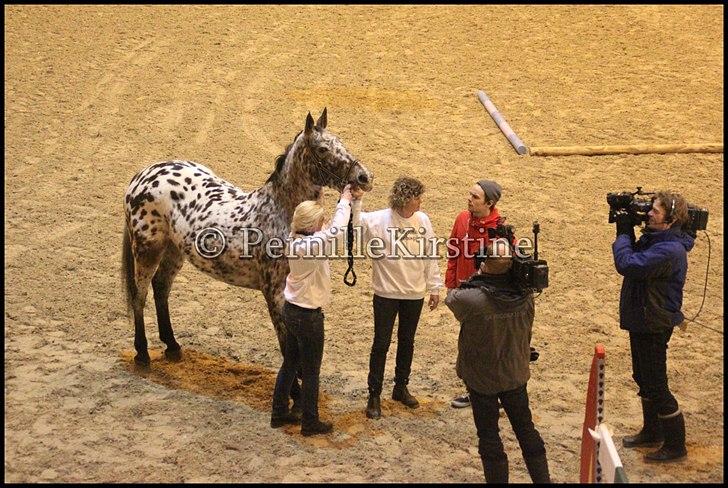 RAMASJANG LIVE PÅ VILHELMSBORG .. billede 172