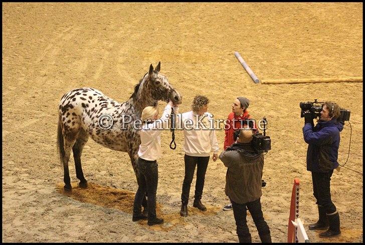 RAMASJANG LIVE PÅ VILHELMSBORG .. billede 173