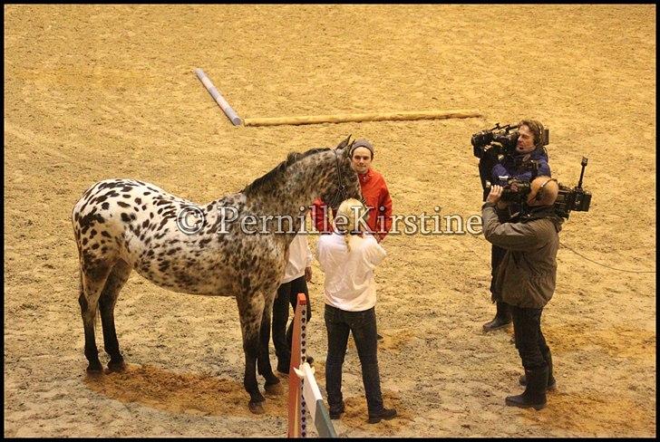 RAMASJANG LIVE PÅ VILHELMSBORG .. billede 174