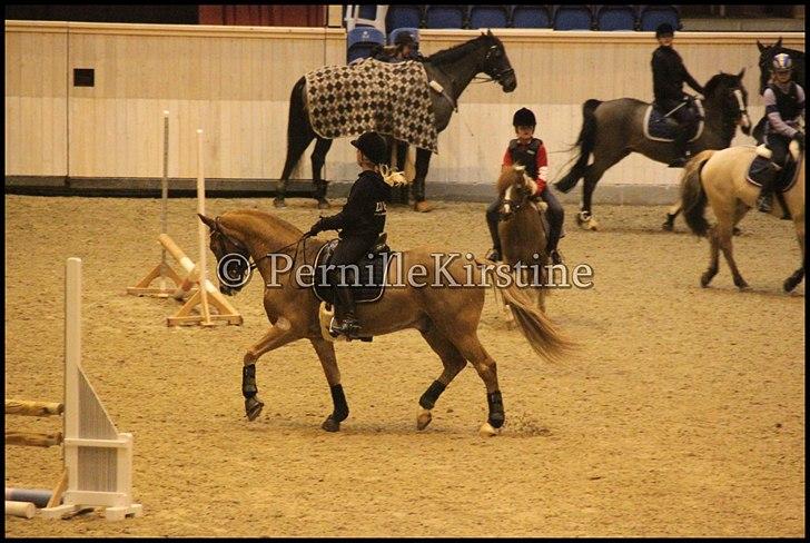 RAMASJANG LIVE PÅ VILHELMSBORG .. billede 177