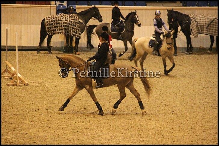 RAMASJANG LIVE PÅ VILHELMSBORG .. billede 178