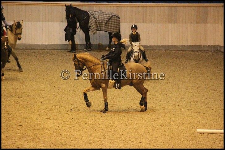 RAMASJANG LIVE PÅ VILHELMSBORG .. billede 179