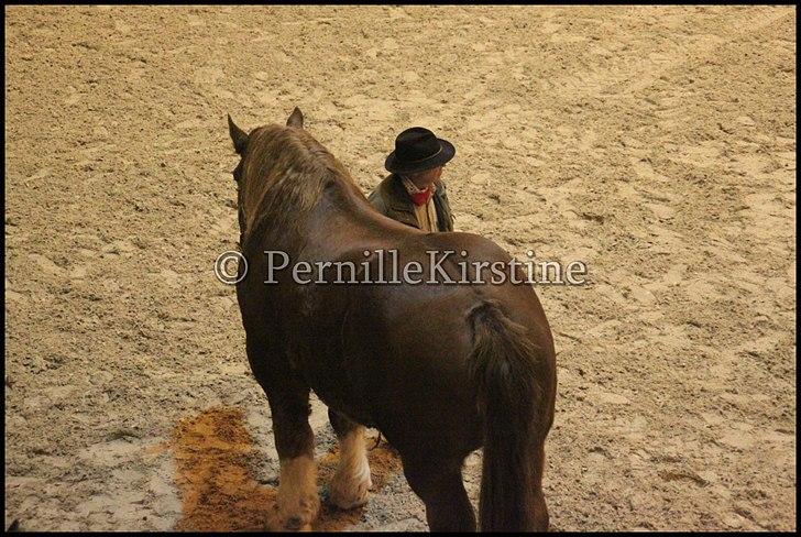 RAMASJANG LIVE PÅ VILHELMSBORG .. billede 180