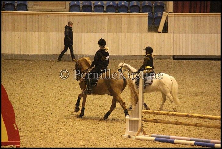 RAMASJANG LIVE PÅ VILHELMSBORG .. billede 181