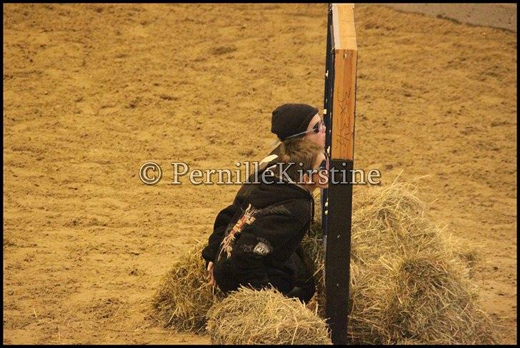 RAMASJANG LIVE PÅ VILHELMSBORG .. billede 182