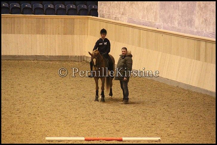 RAMASJANG LIVE PÅ VILHELMSBORG .. billede 187