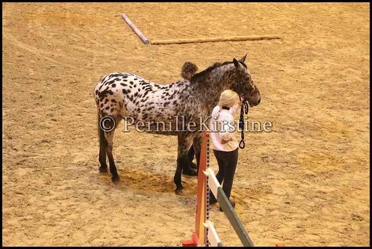 RAMASJANG LIVE PÅ VILHELMSBORG .. billede 189