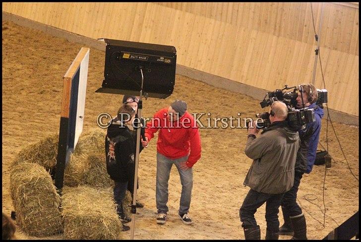 RAMASJANG LIVE PÅ VILHELMSBORG .. billede 190