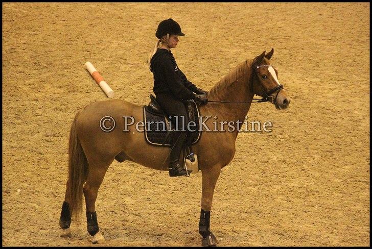 RAMASJANG LIVE PÅ VILHELMSBORG .. billede 194
