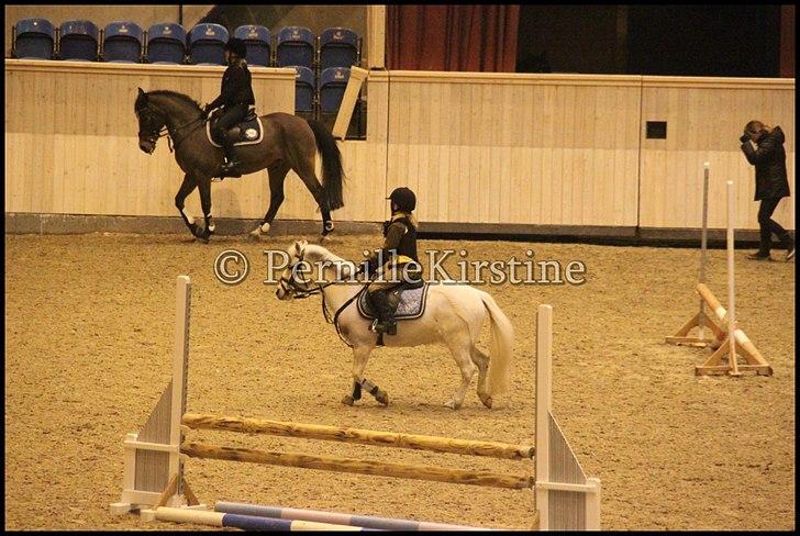 RAMASJANG LIVE PÅ VILHELMSBORG .. billede 196