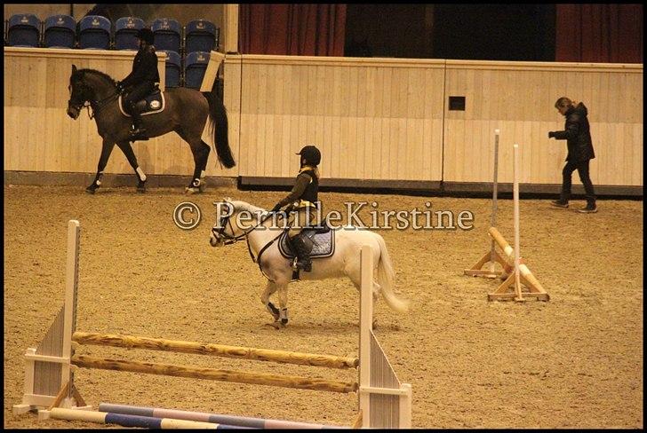 RAMASJANG LIVE PÅ VILHELMSBORG .. billede 197