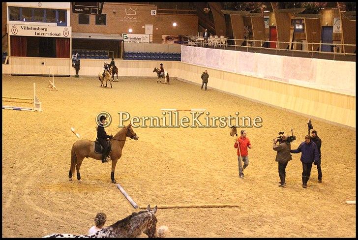 RAMASJANG LIVE PÅ VILHELMSBORG .. billede 198