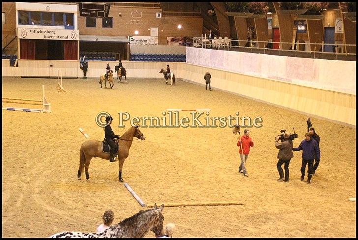 RAMASJANG LIVE PÅ VILHELMSBORG .. billede 199