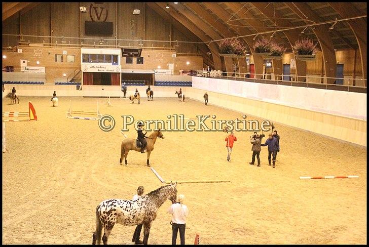 RAMASJANG LIVE PÅ VILHELMSBORG .. billede 200