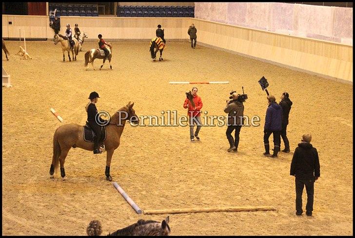 RAMASJANG LIVE PÅ VILHELMSBORG .. billede 201