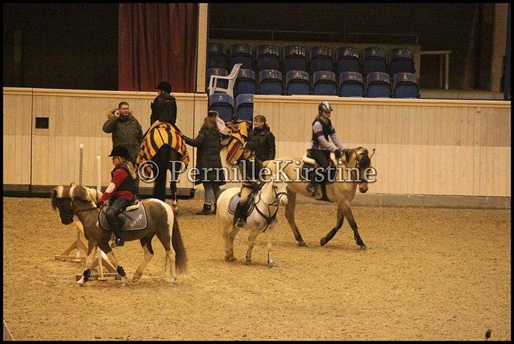 RAMASJANG LIVE PÅ VILHELMSBORG .. billede 202