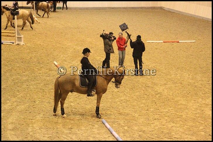 RAMASJANG LIVE PÅ VILHELMSBORG .. billede 203