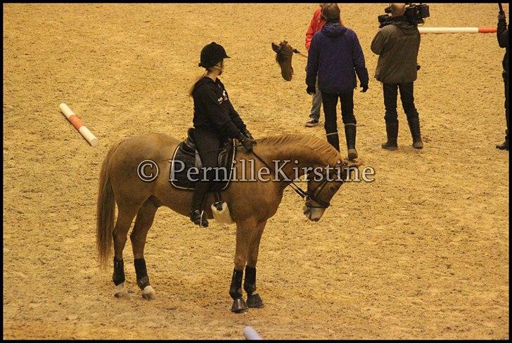 RAMASJANG LIVE PÅ VILHELMSBORG .. billede 204