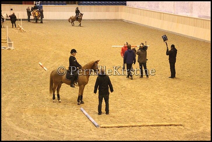 RAMASJANG LIVE PÅ VILHELMSBORG .. billede 205