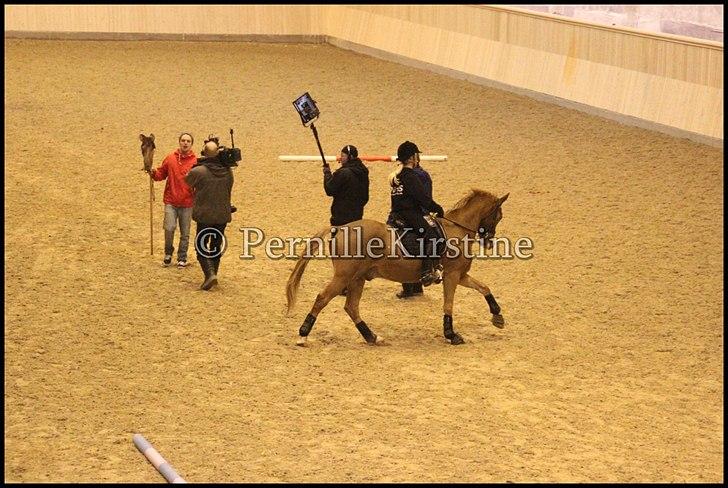 RAMASJANG LIVE PÅ VILHELMSBORG .. billede 210