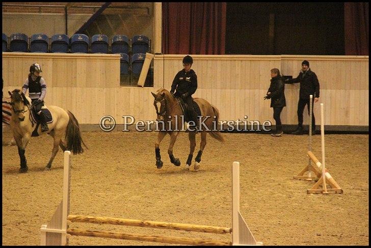 RAMASJANG LIVE PÅ VILHELMSBORG .. billede 216