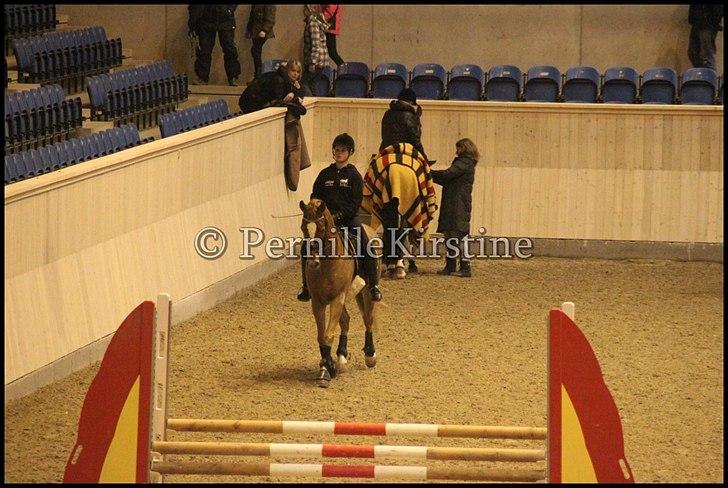 RAMASJANG LIVE PÅ VILHELMSBORG .. billede 218