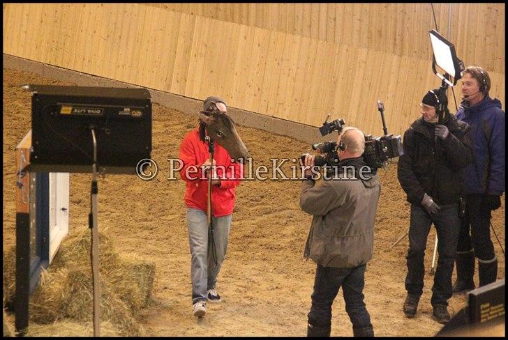 RAMASJANG LIVE PÅ VILHELMSBORG .. billede 220